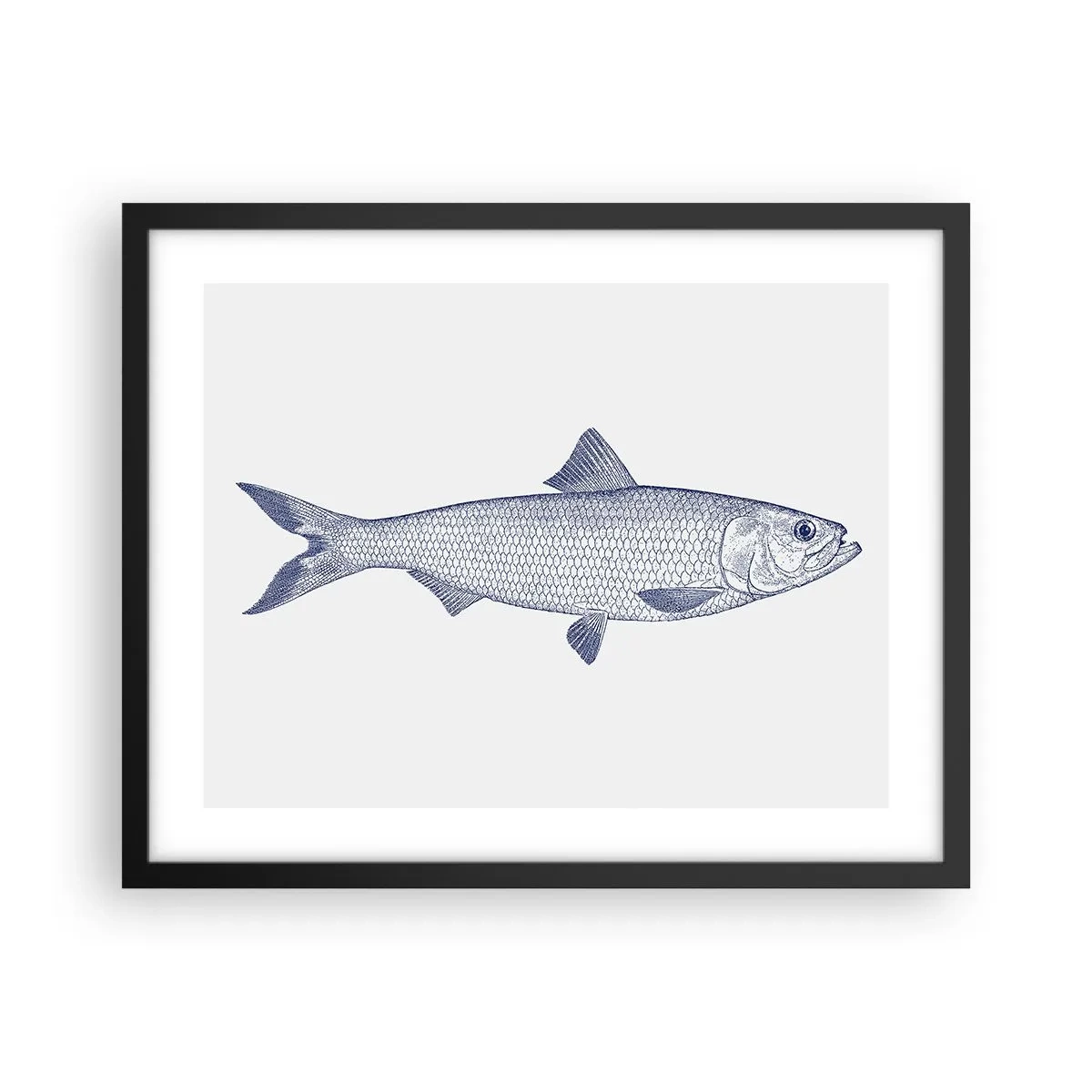 Plakát v černém rámu - Pozdravy ze severních moří - 50x40 cm