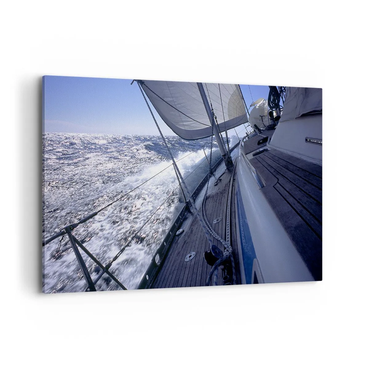 Obraz na plátně - Vím, co znamená být ptákem - 100x70 cm