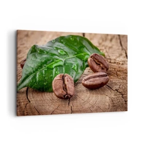 Obraz na plátně - Nejskutečnější a černá - 100x70 cm