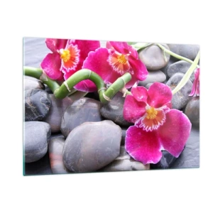 Obraz na skle - Chlad a žár - 120x80 cm