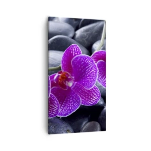 Obraz na plátně - Kameny se rozzářily nadšením - 55x100 cm