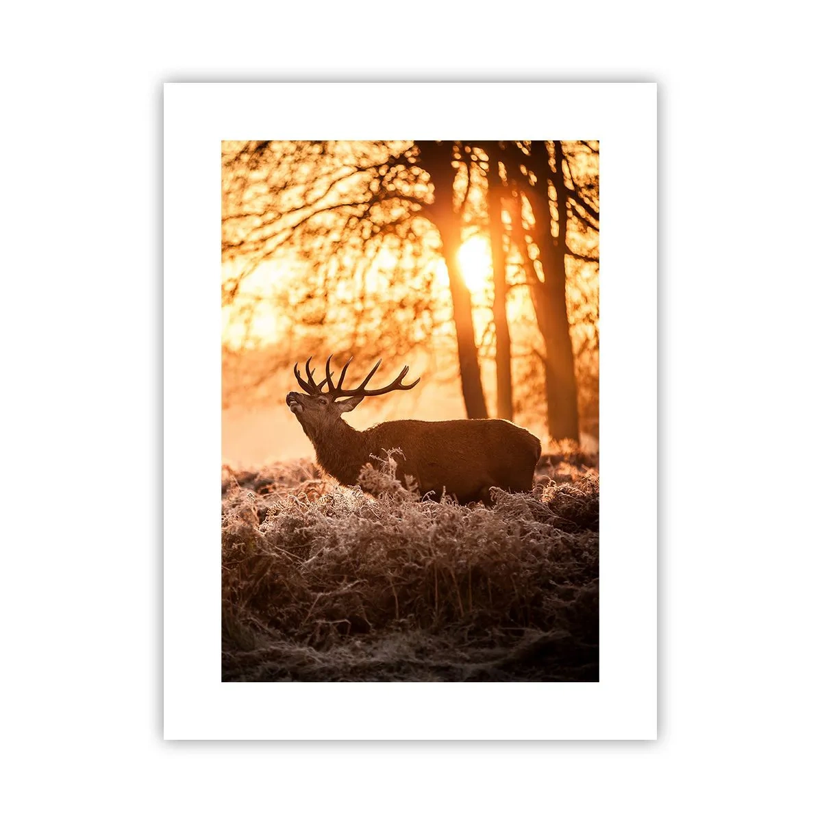 Plakát - Sen myslivce - 30x40 cm