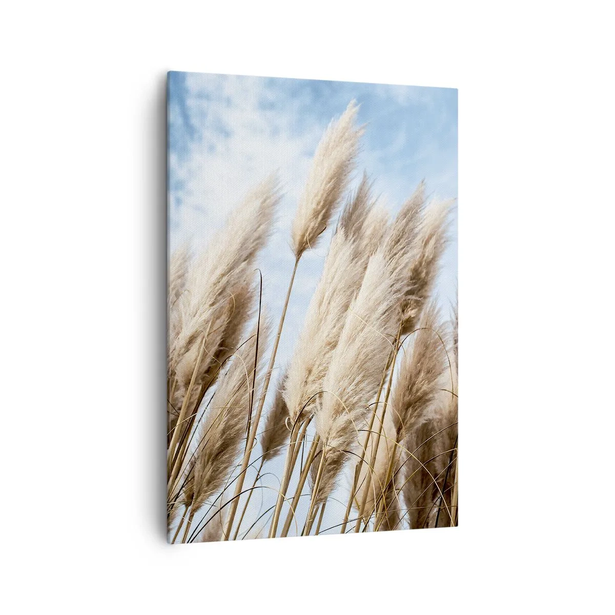 Obraz na plátně - Slunečné a větrné pohlazení - 70x100 cm