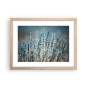 Plakát v rámu světlý dub - Voňavý lán - 40x30 cm
