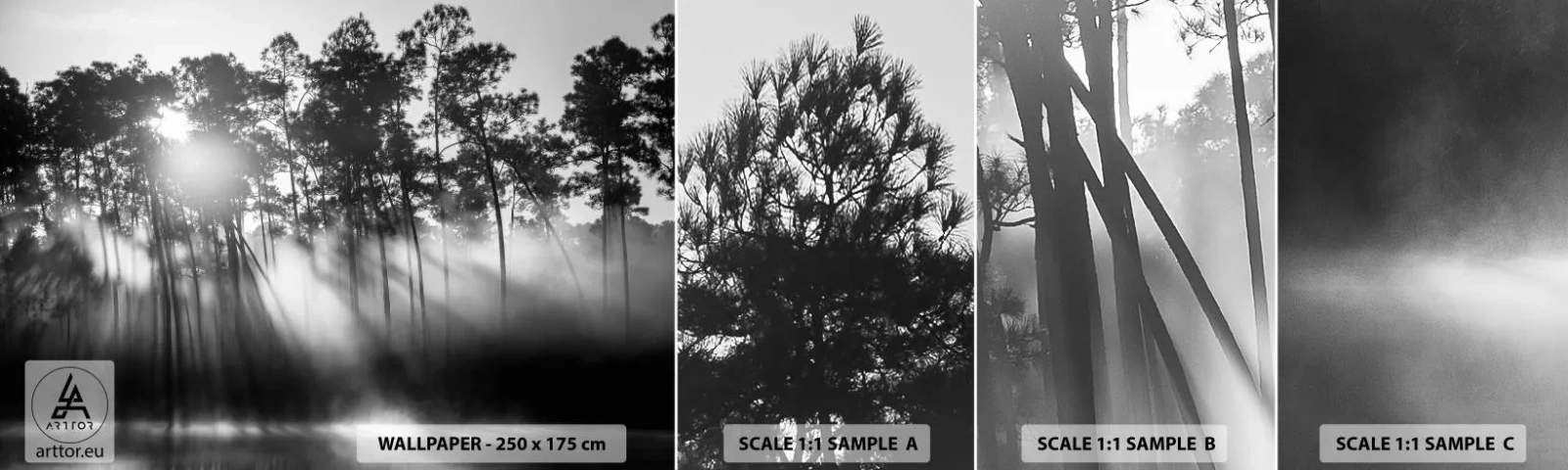 Fototapeta Vzorek Standard Eco - Nezastavitelné slunce - Krajina, Les, Příroda - 100x30 cm