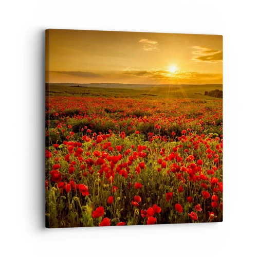 Obraz na plátně - Mezi vlnami šumících luk, mezi záplavou květů - 30x30 cm