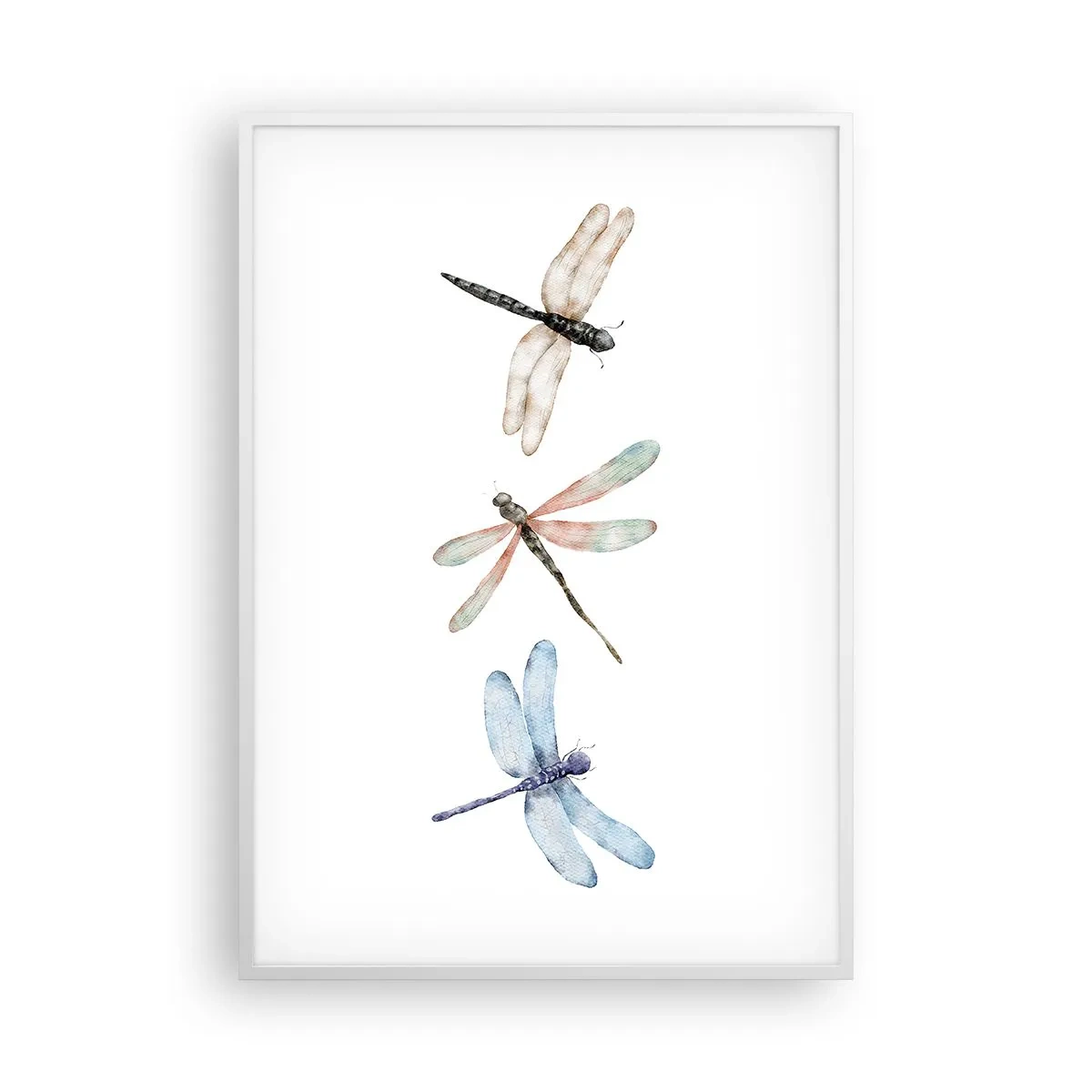 Plakát v bílém rámu - Beztížné vážky - 70x100 cm