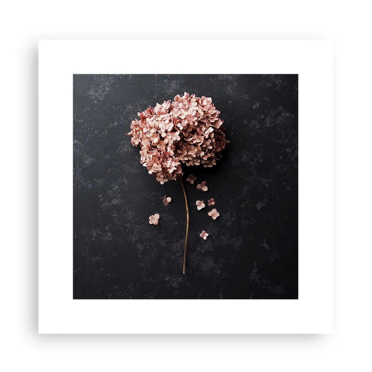 Plakát - Skutečně romantické znamení - 30x30 cm