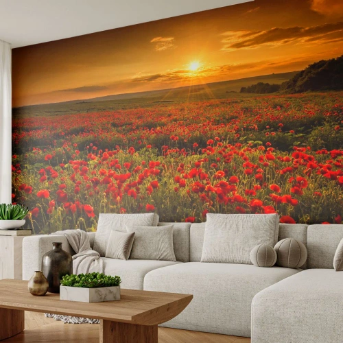 Fototapeta Premium Sand - Mezi vlnami šumících luk, mezi záplavou květů - Krajina, Květiny, Vlčí mák - 400x280 cm