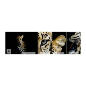 Vzor Fototapety Samolepicí Deluxe Sticker - Temná krása - Zvířata, leopard, Divoká kočka - 100x30 cm