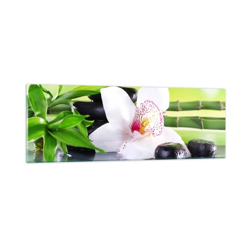 Obraz na skle - Chladná svěžest - 90x30 cm