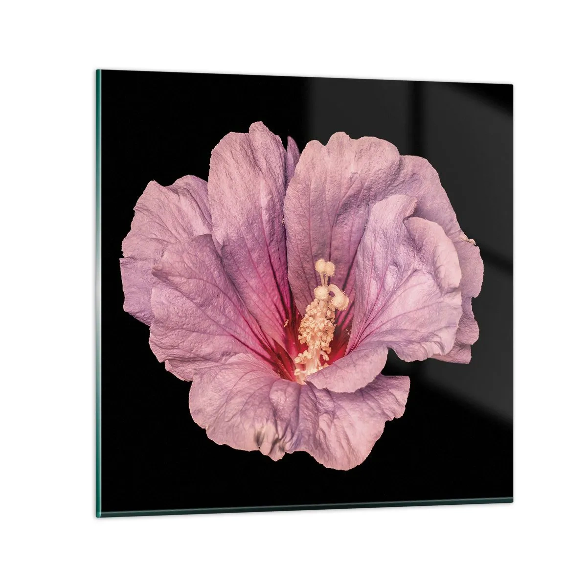 Obraz na skle - Přímo do srdce - 50x50 cm