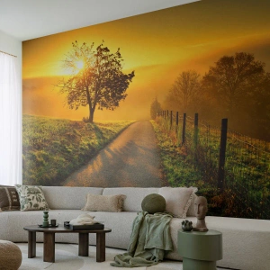 Fototapeta Premium Sand - Medové odpoledne - Krajina, Polní cesta, Louka - 100x70 cm