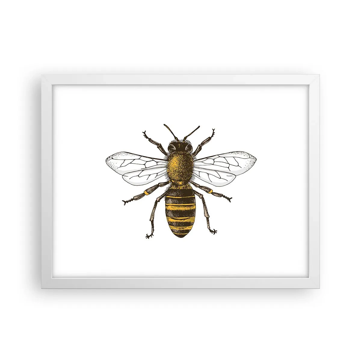 Plakát v bílém rámu - Krásná a dobrá - 40x30 cm