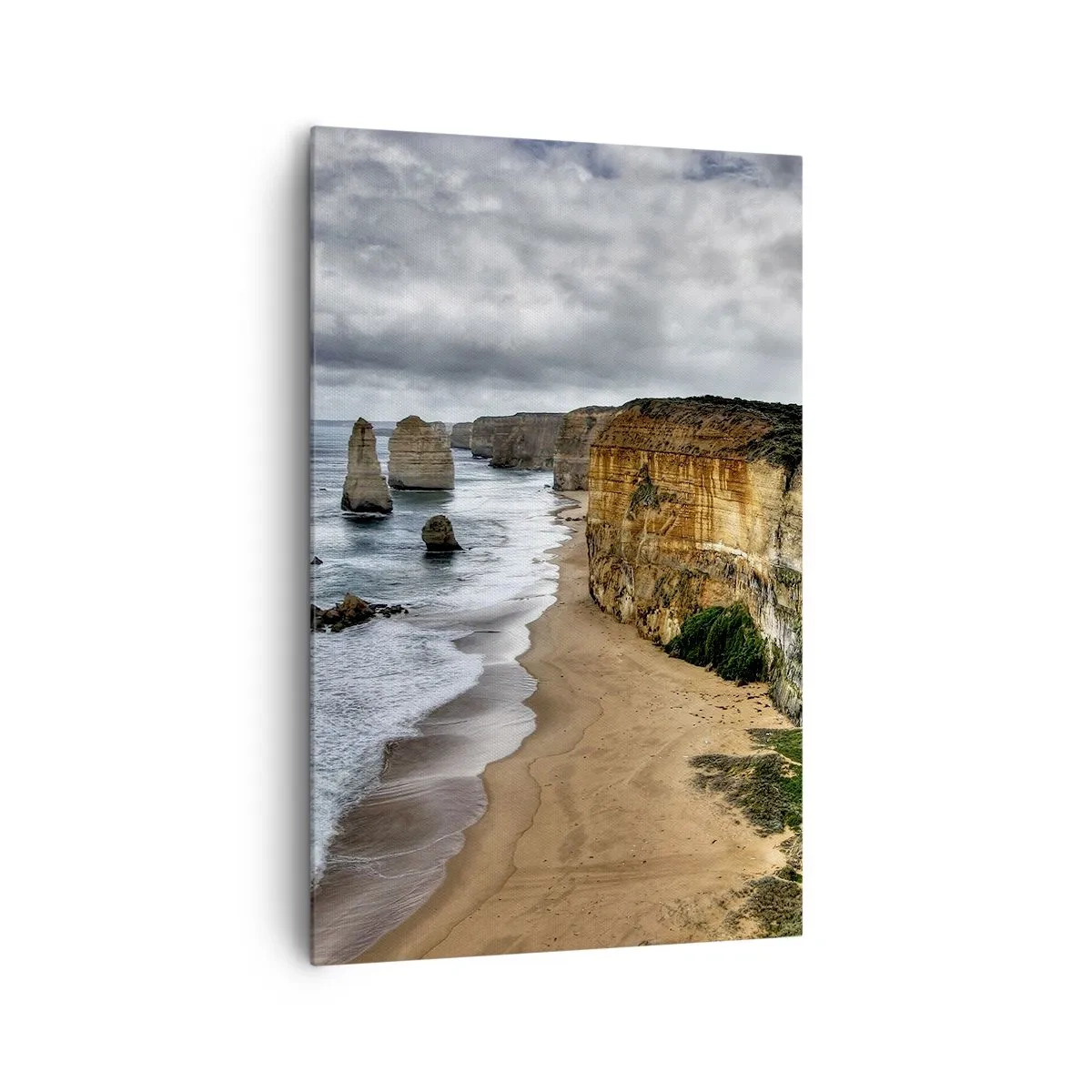 Obraz na plátně - Drsná krása - 80x120 cm