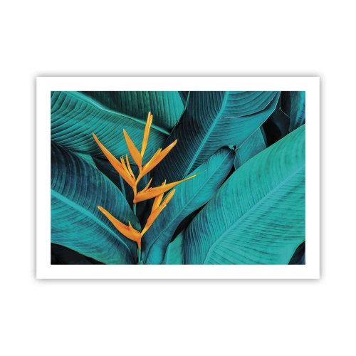 Plakát - Rajský květ - 70x50 cm