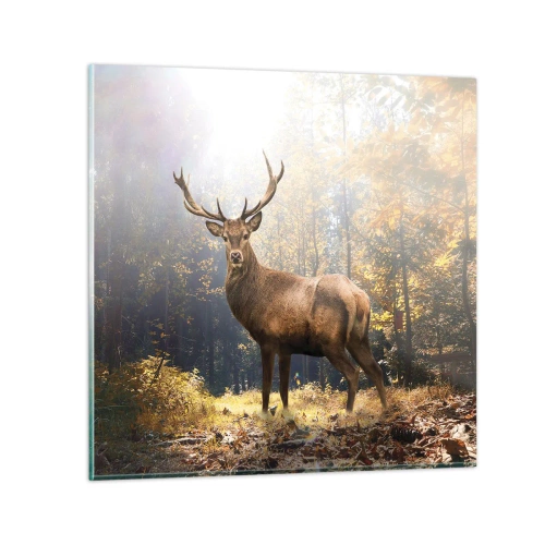 Obraz na skle - Plné důstojnosti - 70x70 cm