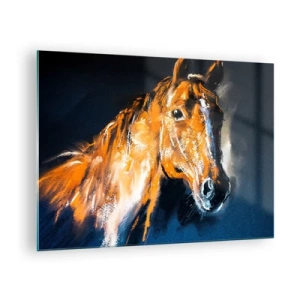 Obraz na skle - Portrét koně v intenzivních odstínech hnědé na tmavém pozadí - 70x50cm - Tak co, jedeš? - Moderní nástěnná dekorace do obývacího pokoje a ložnice ARTTOR