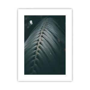 Plakát - Přesnost přírody - 30x40 cm