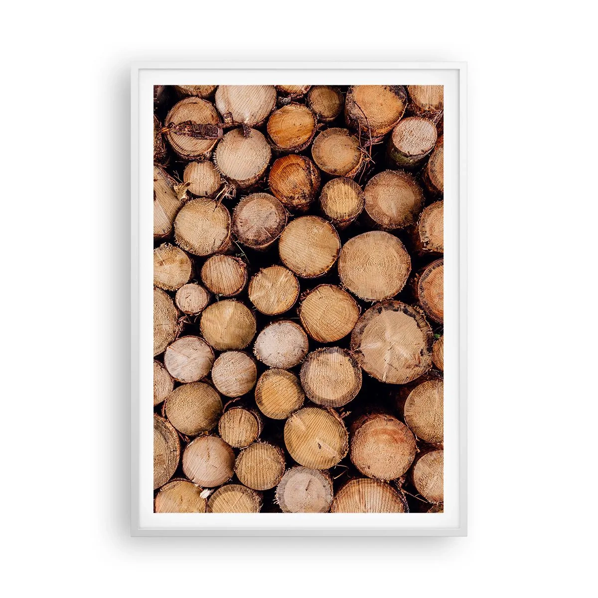 Plakát v bílém rámu - Nový začátek - 70x100 cm