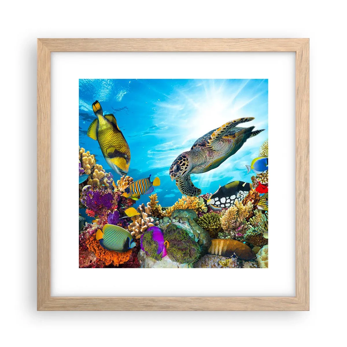 Plakát v rámu světlý dub - Korálová promenáda - 30x30 cm