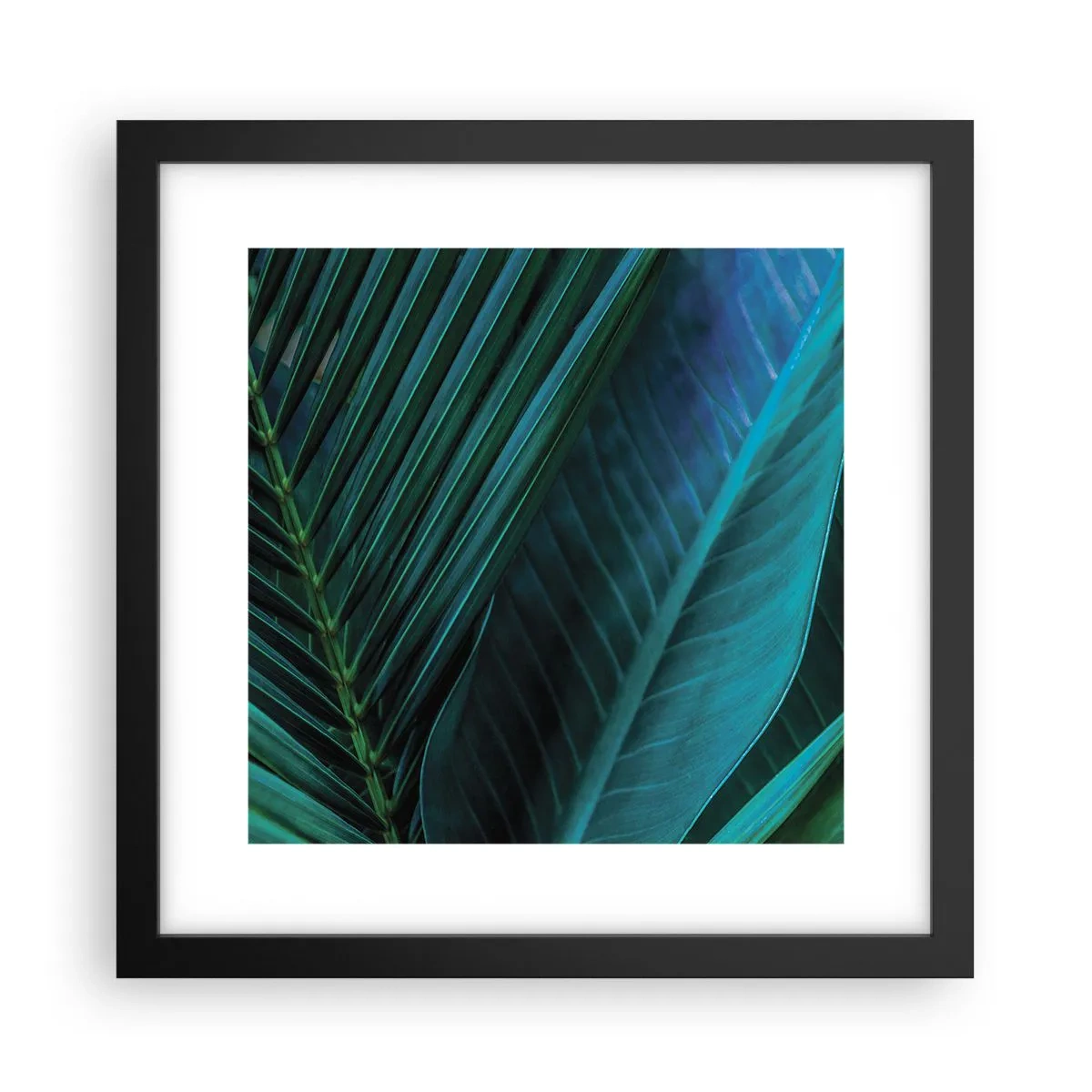 Plakát v černém rámu - Anatomie zelené - 30x30 cm