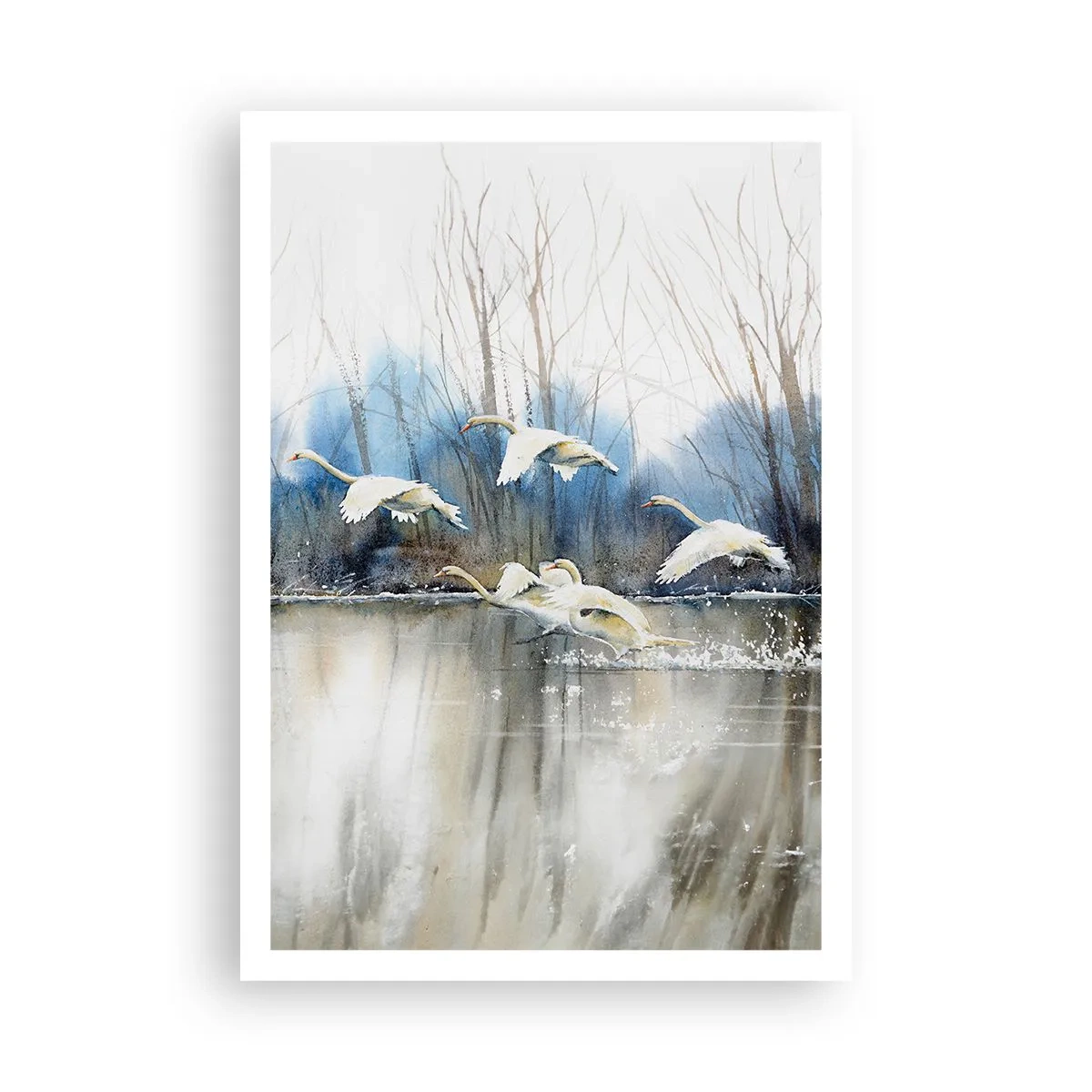 Plakát - Jako v povídce o divokých labutích - 70x100 cm