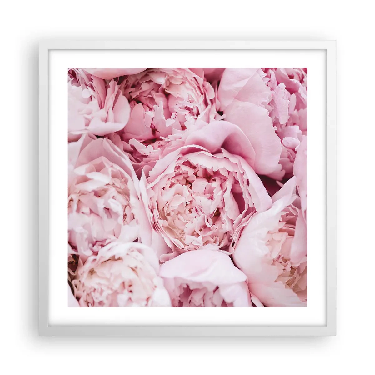 Plakát v bílém rámu - Přitulené a voňavé - 50x50 cm