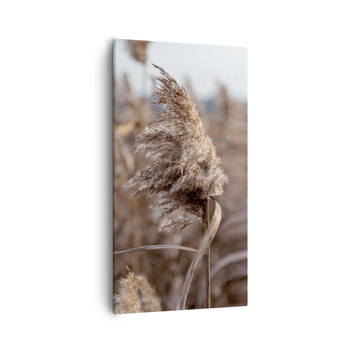 Obraz na plátně - Čas odletět s větrem - 55x100 cm