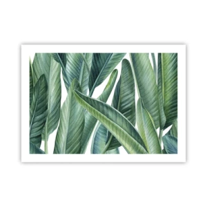 Plakát - Prostě zelená - 70x50 cm