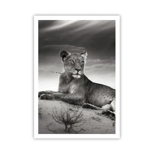 Plakát - Odpočinek královny pouště - 70x100 cm