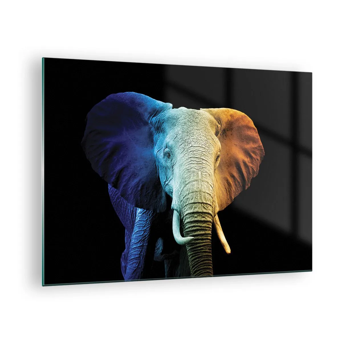 Obraz na skle - Barevný portrét slona na černém pozadí - 70x50cm - Výstřední muž, ale ne podivín - Moderní nástěnná dekorace do obývacího pokoje a ložnice ARTTOR
