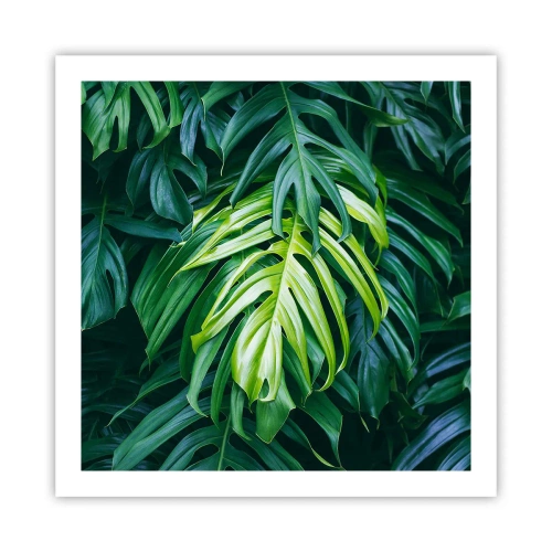 Plakát - Ponořit se do svěžesti - 60x60 cm