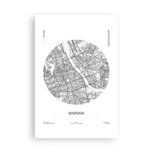 Plakát - Anatomie Varšavy - 61x91 cm