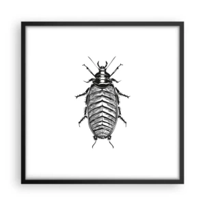 Plakát v černém rámu - Vzorový exemplář! - 50x50 cm