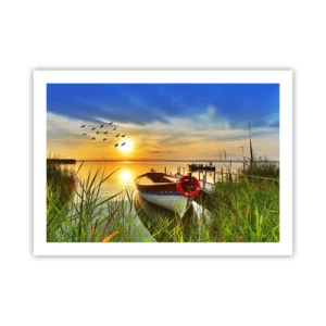 Plakát - Kormoráni už odlétají - 70x50 cm