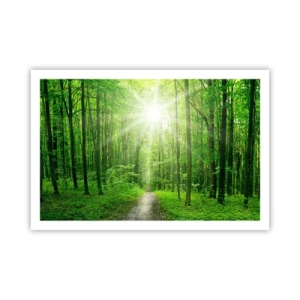 Plakát - Zelená katedrála - 91x61 cm