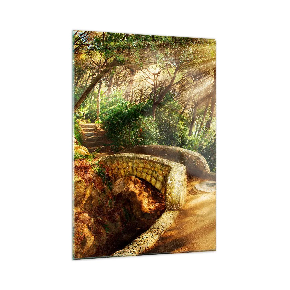 Obraz na skle - Přímo z můstku v pohádkovém lese - 50x70 cm