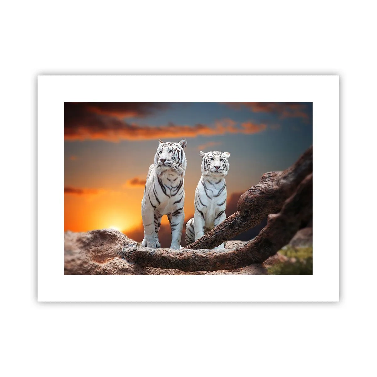 Plakát - Úplně jako v Narnii - 40x30 cm