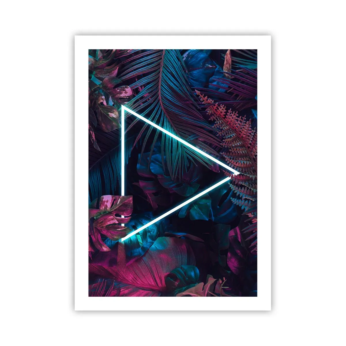 Plakát - Zahrada v disco stylu - 50x70 cm