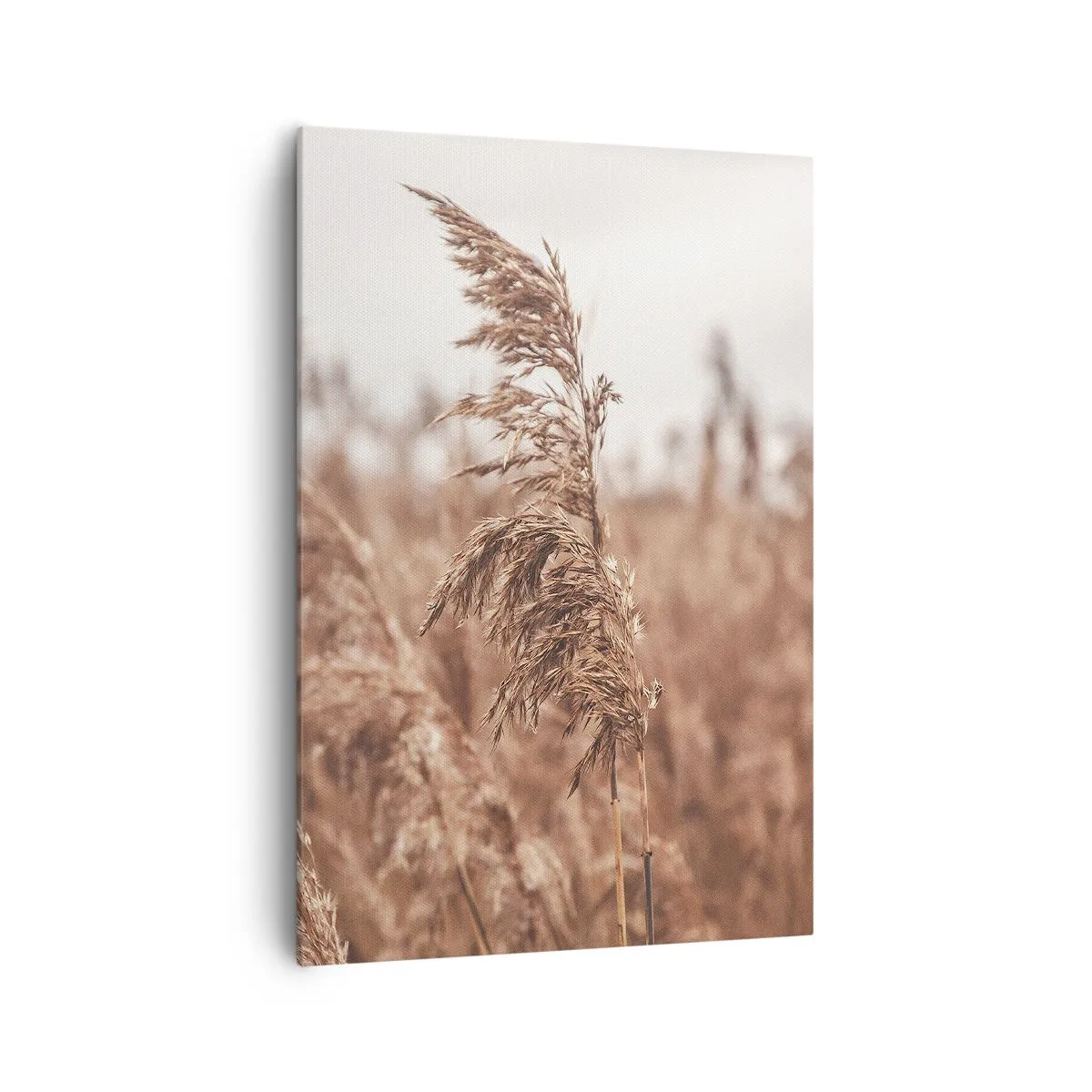 Obraz na plátně - Na polích už je podzim - 70x100 cm