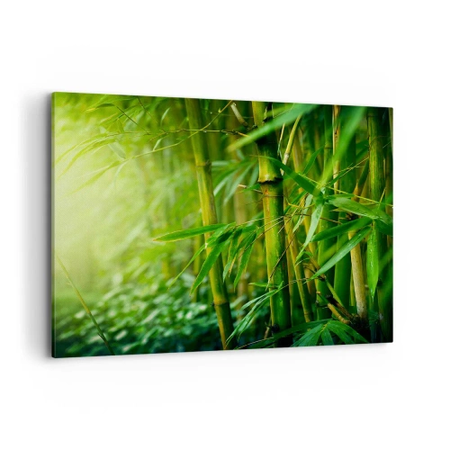 Obraz na plátně - Poznat samotnou zeleň - 120x80 cm
