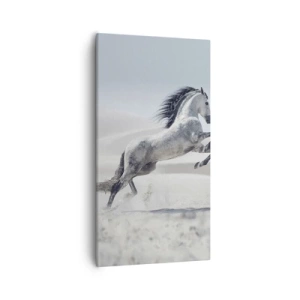 Obraz na plátně - Arabský kníže - 55x100 cm