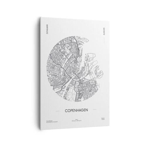 Obraz na plátně - Anatomie Kodaně - 70x100 cm