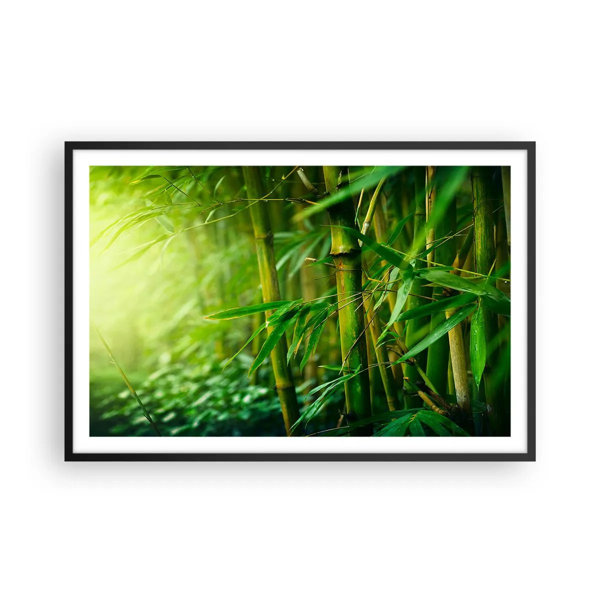Plakát v černém rámu - Poznat samotnou zeleň - 91x61 cm