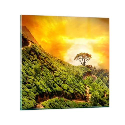 Obraz na skle - Klikatou stezkou, zeleným úbočím - 60x60 cm