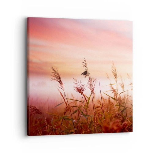 Obraz na plátně - Draci, pampelišky a vítr - 30x30 cm