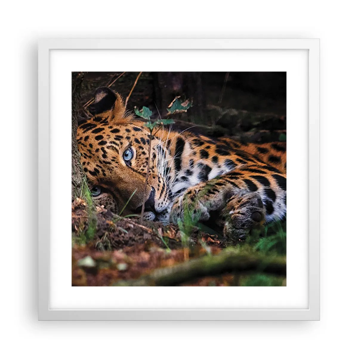 Plakát v bílém rámu - Věř mi - 40x40 cm