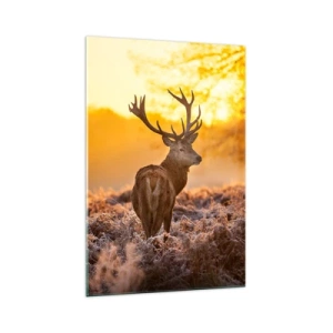 Obraz na skle - Král podzimního lesa - 70x100 cm