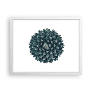 Plakát v bílém rámu - Hvězda pouště - 50x40 cm